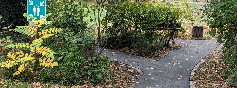 Zwei sich gabelnde Wege in einem Park mit Bäumen, Sträuchern und einem Mülleimer am rechten Weg.